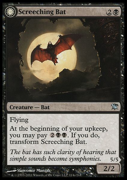 Hovedbilde Screeching Bat