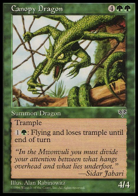 Hovedbilde Canopy Dragon
