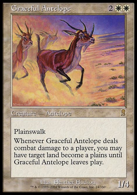 Hovedbilde Graceful Antelope