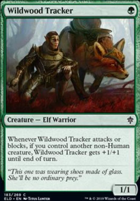 Hovedbilde Wildwood Tracker