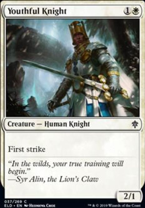 Hovedbilde Youthful Knight