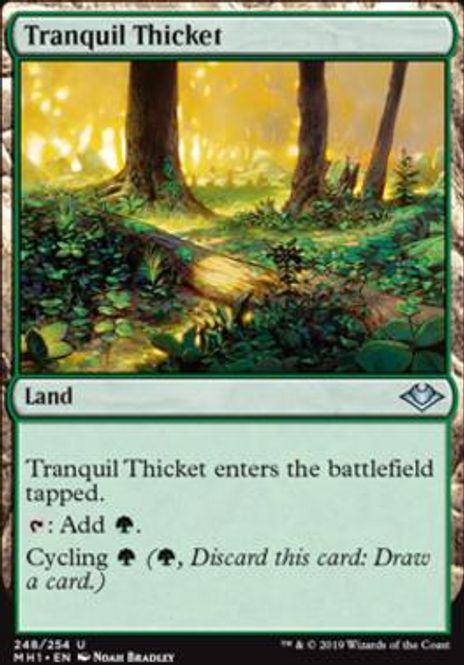 Hovedbilde Tranquil Thicket