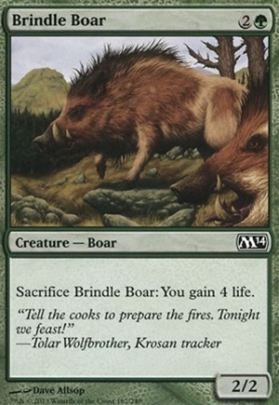 Brindle Boar