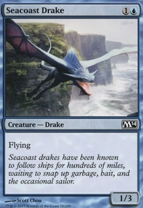 Hovedbilde Seacoast Drake