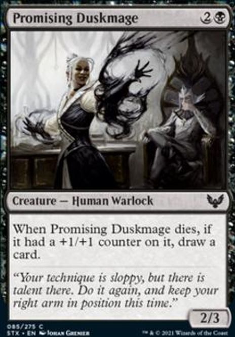Hovedbilde Promising Duskmage