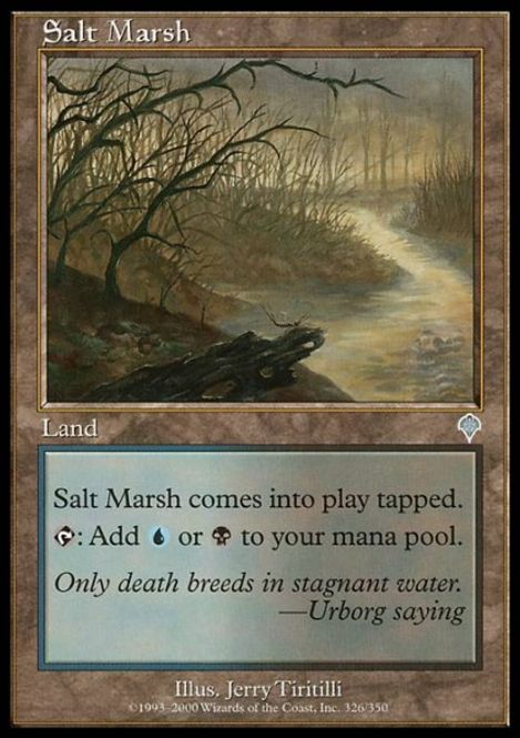 Hovedbilde Salt Marsh