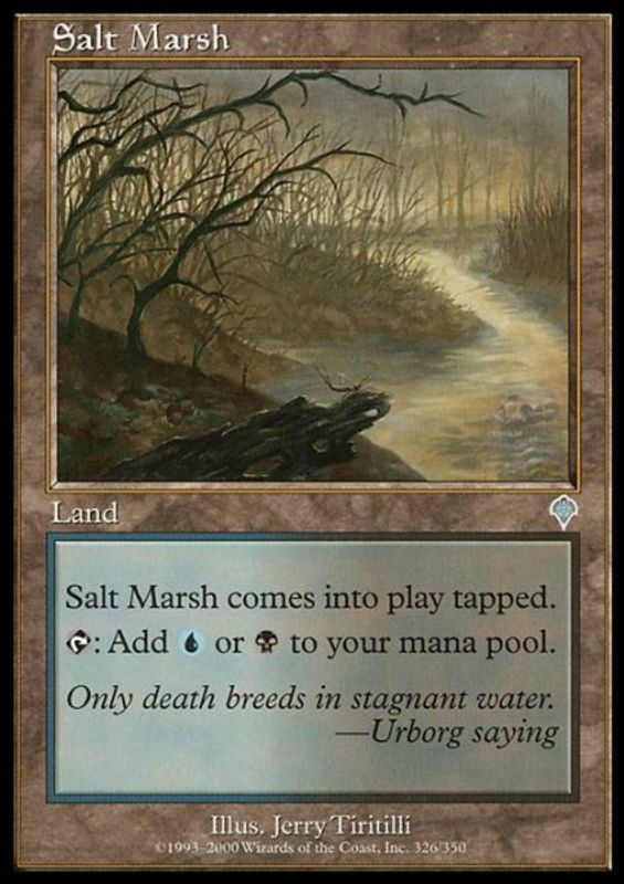 Salt Marsh