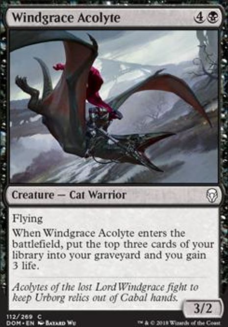 Hovedbilde Windgrace Acolyte