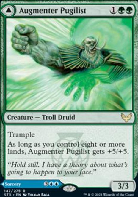 Hovedbilde Augmenter Pugilist