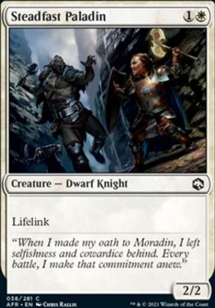 Hovedbilde Steadfast Paladin (foil)