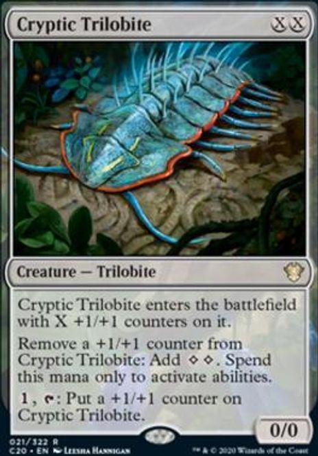 Hovedbilde Cryptic Trilobite