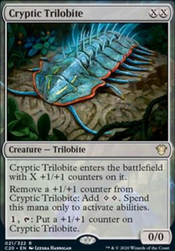 Cryptic Trilobite
