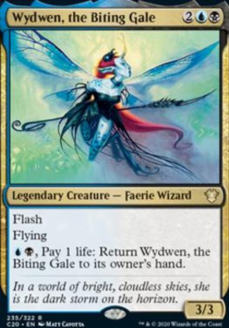 Hovedbilde Wydwen, the Biting Gale