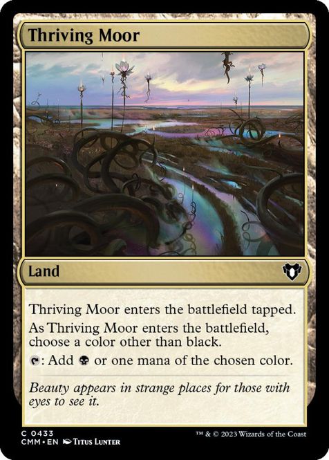 Hovedbilde Thriving Moor