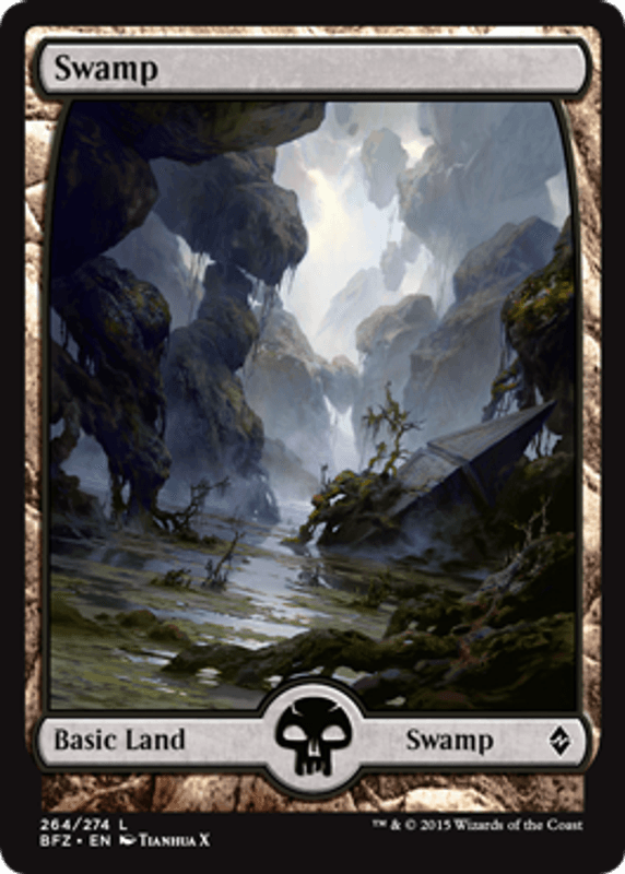 Swamp (264 E)