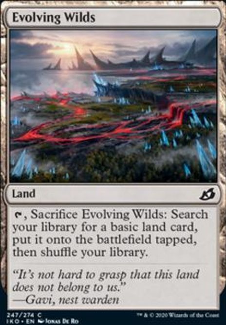 Hovedbilde Evolving Wilds