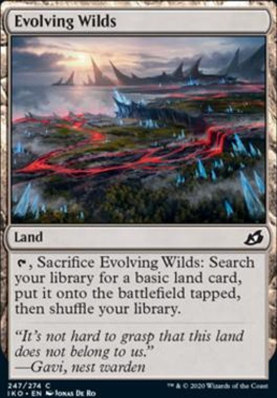 Evolving Wilds