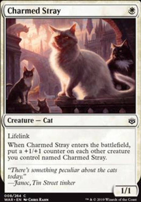 Hovedbilde Charmed Stray