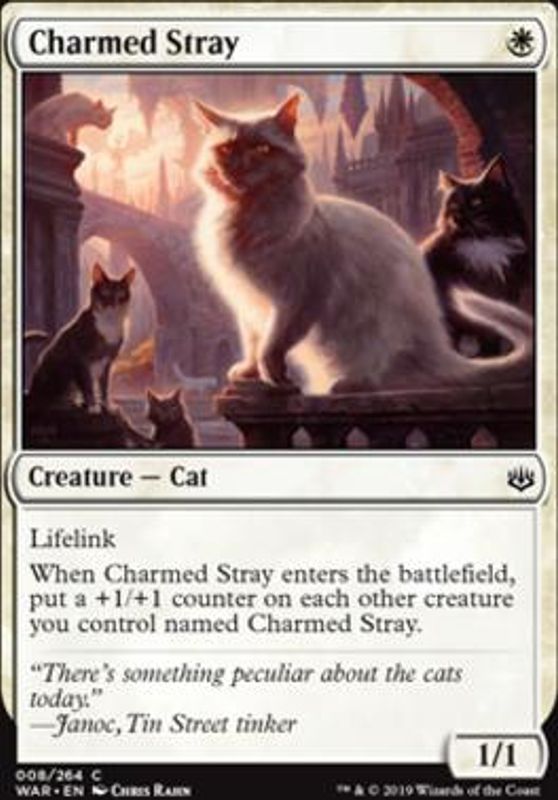Charmed Stray (foil)