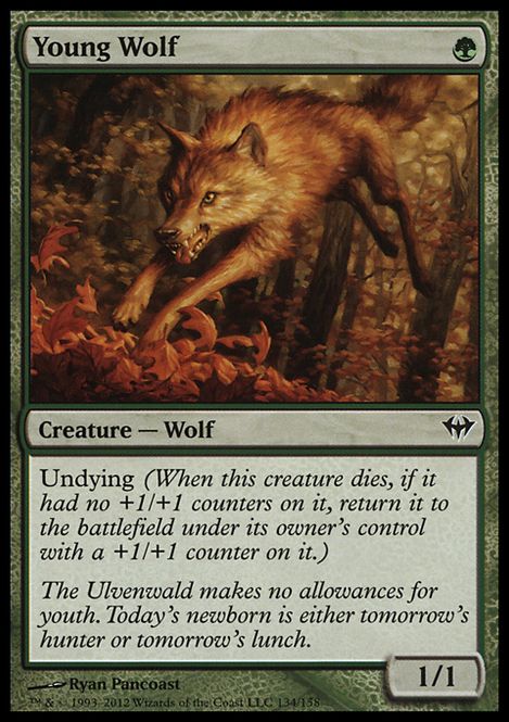 Hovedbilde Young Wolf