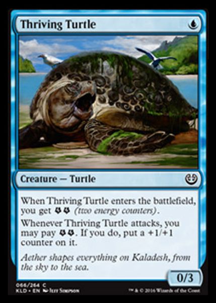 Hovedbilde Thriving Turtle