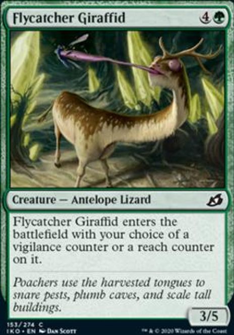 Hovedbilde Flycatcher Giraffid
