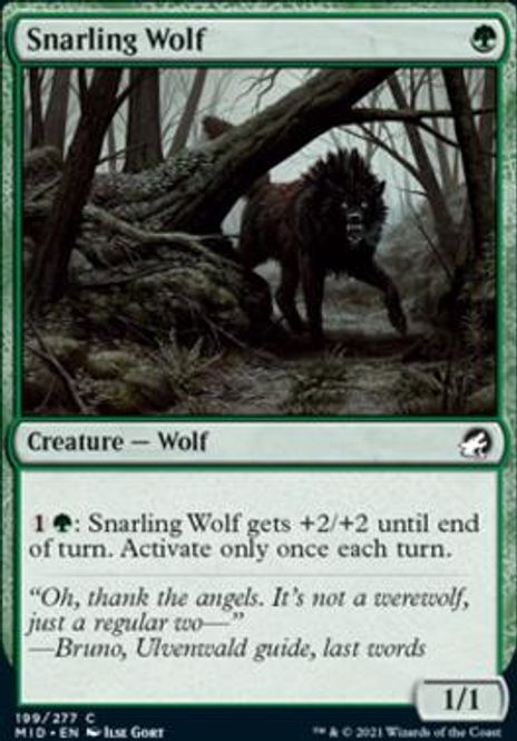 Hovedbilde Snarling Wolf (foil)