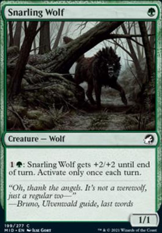 Snarling Wolf