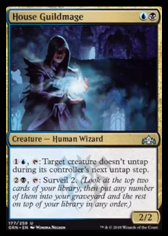 House Guildmage