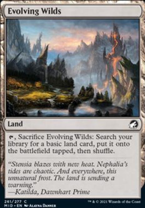 Hovedbilde Evolving Wilds (foil)