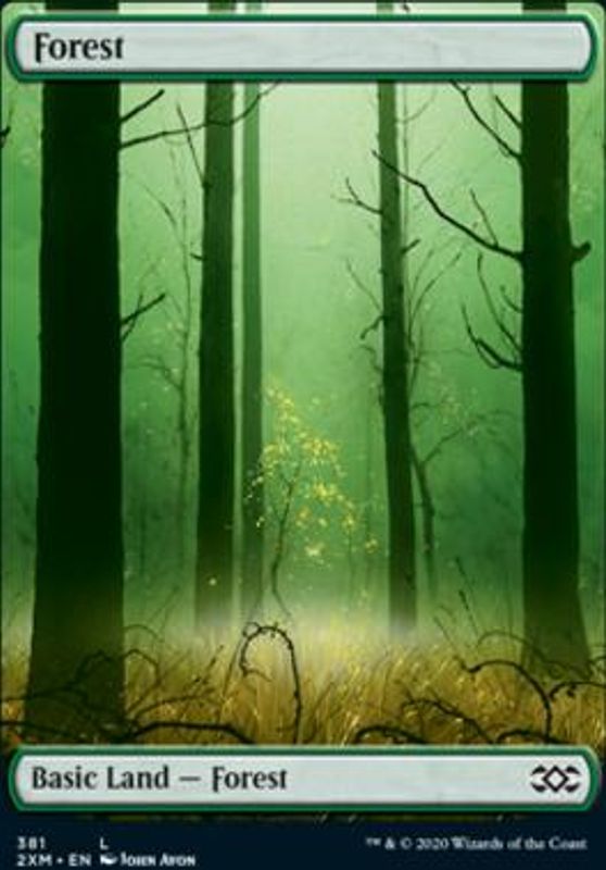 Forest (381)