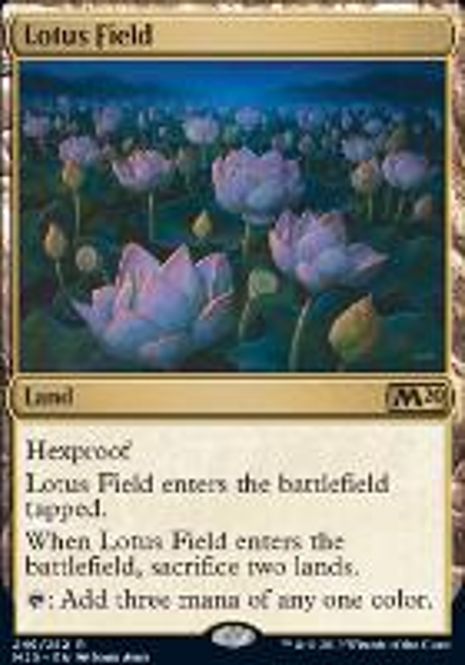 Hovedbilde Lotus Field
