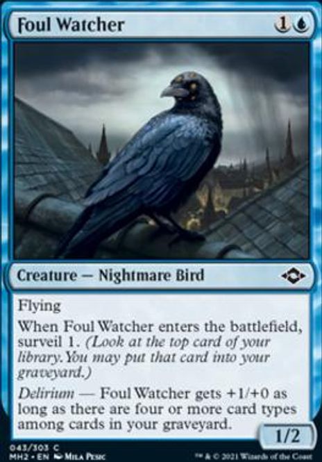 Hovedbilde Foul Watcher