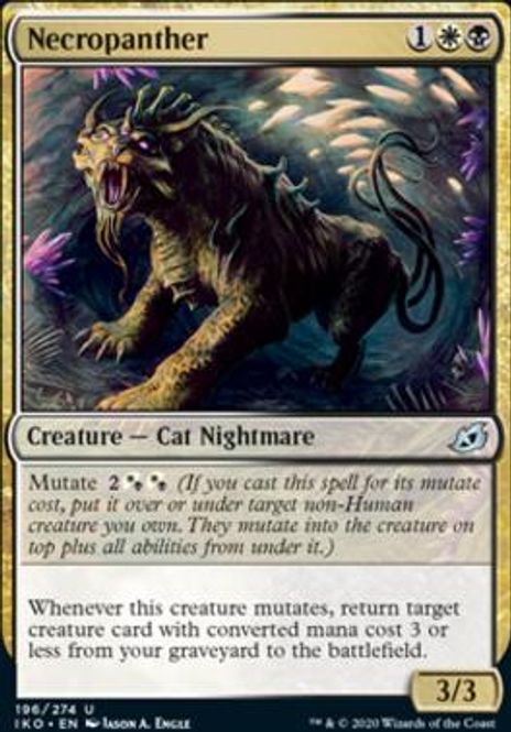 Hovedbilde Necropanther