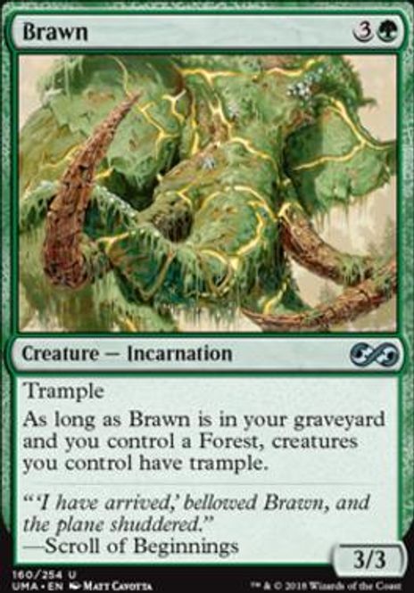 Hovedbilde Brawn