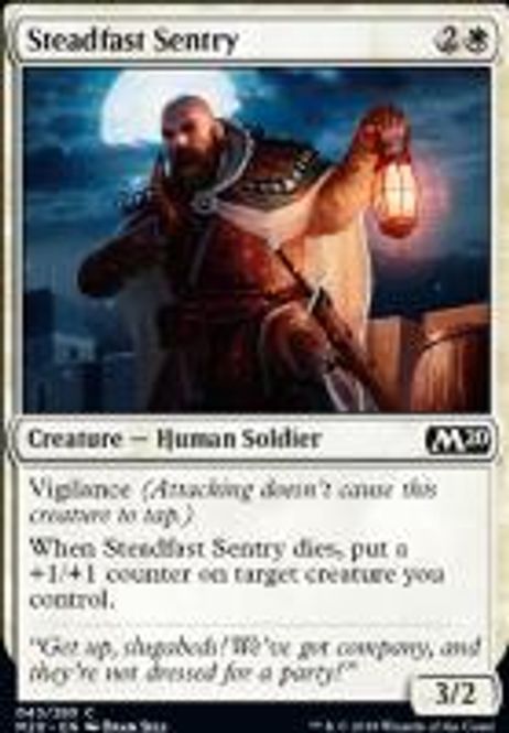 Hovedbilde Steadfast Sentry