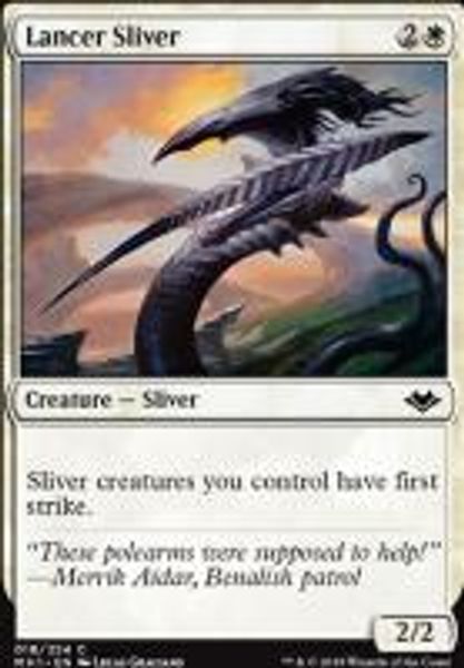 Hovedbilde Lancer Sliver