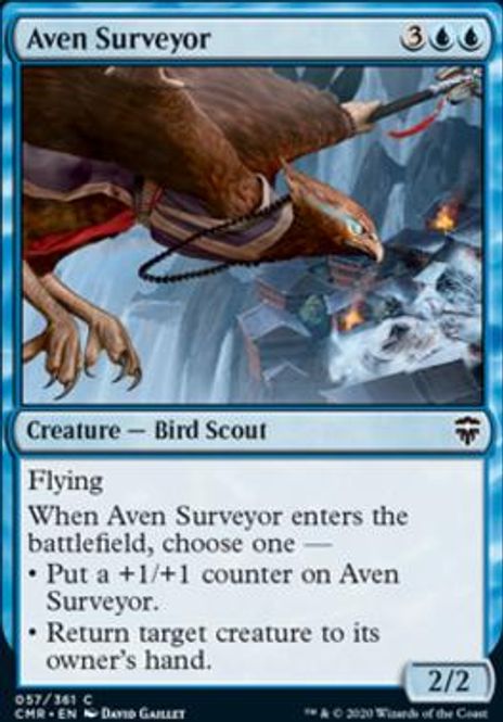 Hovedbilde Aven Surveyor