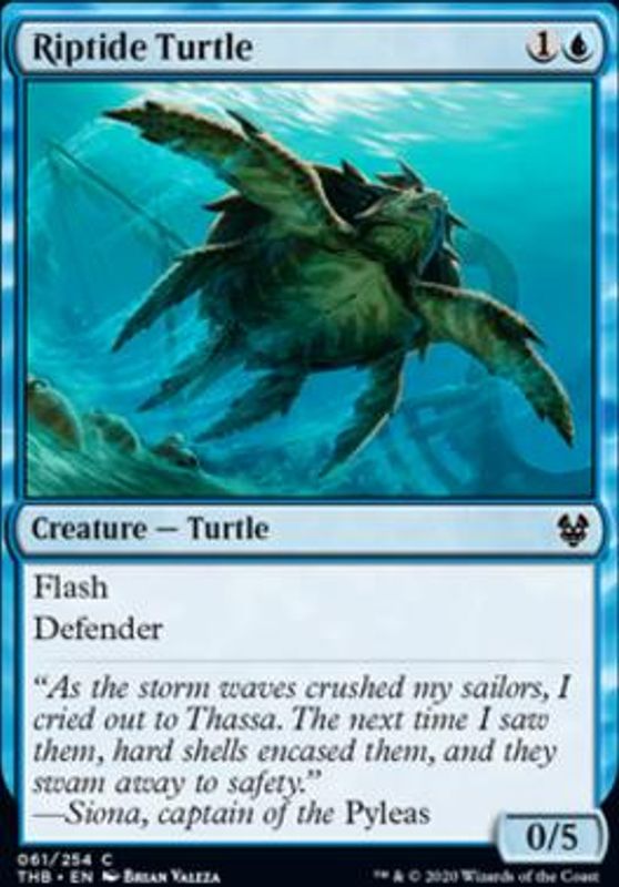 Riptide Turtle