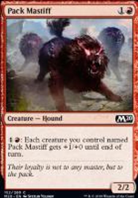 Hovedbilde Pack Mastiff