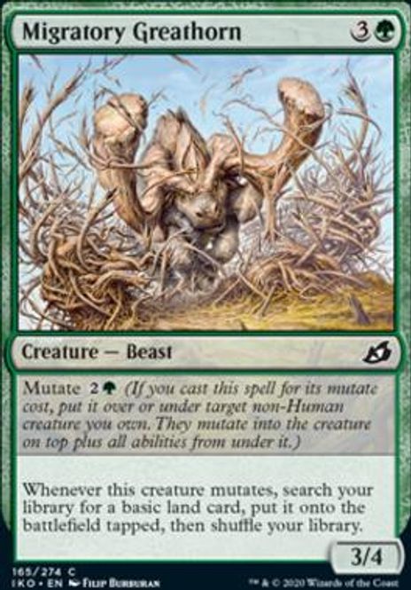 Hovedbilde Migratory Greathorn