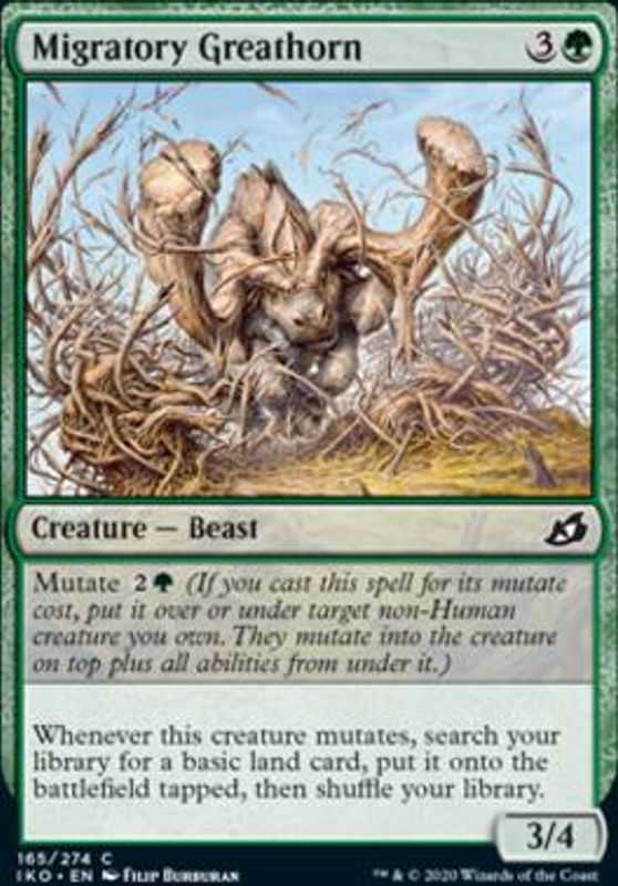 Migratory Greathorn