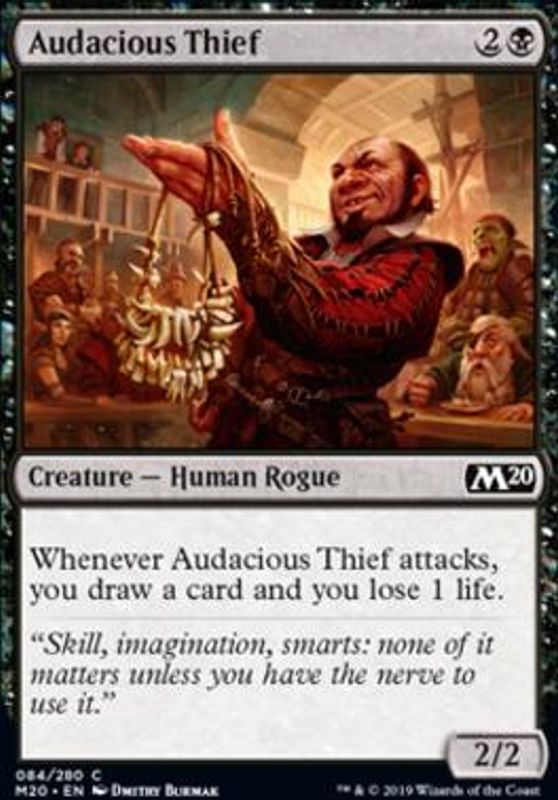 Audacious Thief