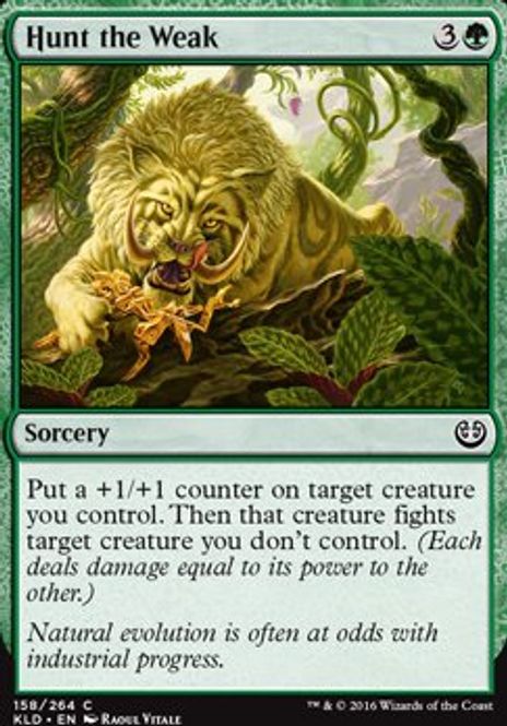 Hovedbilde Hunt of the Week
