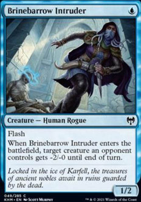 Hovedbilde Brinebarrow Intruder