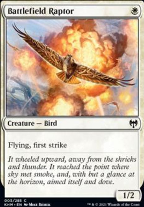 Hovedbilde Battlefield Raptor