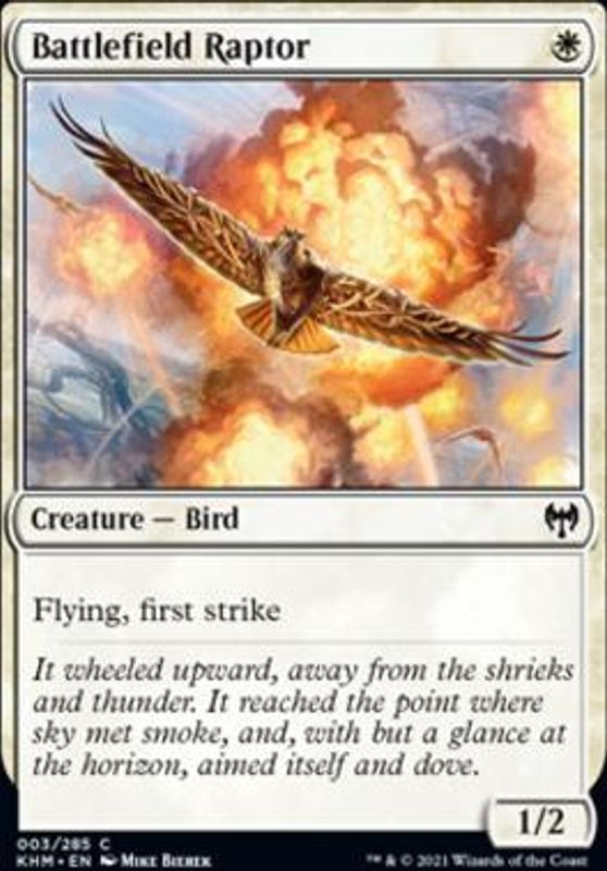 Battlefield Raptor
