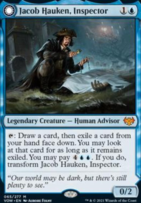 Jacob Hauken, Inspector
