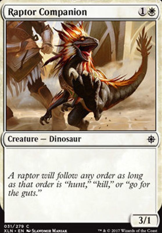 Raptor Companion
