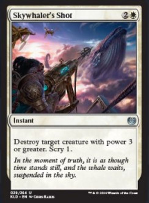 Hovedbilde Skywhaler's Shot